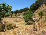 Kato Episkopi - Sitia Kreta, Kato Episkopi, freistehendes unfertiges Steinhaus zu verkaufen in Sitia. Haus kaufen